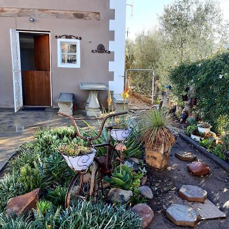 Carmel Villa B&B Or Self-Catering Calvinia Zewnętrze zdjęcie